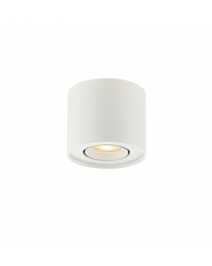 Плафон Round бял Arion 1 x Max 50W 220-240V AC IP20 LED осветление