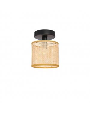 Плафон Erica 1 x Max 40W 220-240V AC IP20 LED осветление