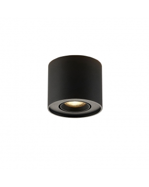 Плафон Round бял Arion 1 x Max 50W 220-240V AC IP20 LED осветление