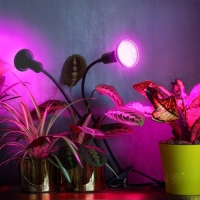 Настолна лампа PLANTY CLIP B DUO 1xE27 черна Kobi Design
