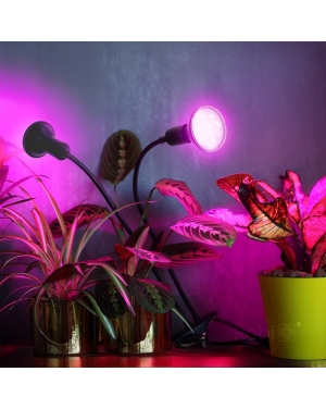 Настолна лампа PLANTY CLIP B DUO 1xE27 черна Kobi Design