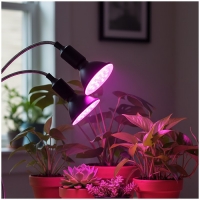 Настолна лампа PLANTY CLIP B DUO 1xE27 черна Kobi Design