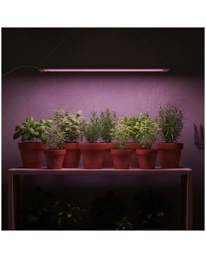 LED лампа за отглеждане на растения LED GROWLY 2x8,5W Kobi Design