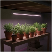 LED лампа за отглеждане на растения LED GROWLY 9W Kobi Design LED лампа за отглеждане на растения LED GROWLY 9W Kobi Design