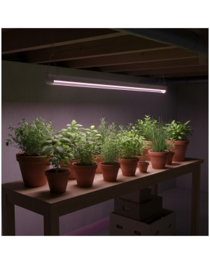 LED лампа за отглеждане на растения LED GROWLY 9W Kobi Design