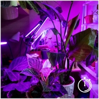 LED лампа за отглеждане на растения LED VITARO 3 CLIP 10W Kobi Design