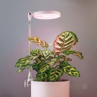LED лампа за отглеждане на растения VERDI 10W 3200K Kobi Design