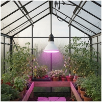 LED крушка за отглеждане на растения LED PLANTY B E27 7W E27 1200K Бяла