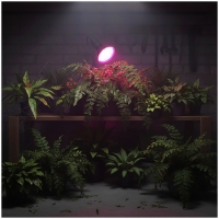 LED крушка за отглеждане на растения LED PLANTY B E27 9W E27 1200K Черна