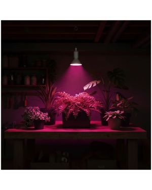 LED крушка за отглеждане на растения LED PLANTY W E27 9W E27 1200K Бяла