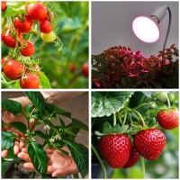 LED крушка за отглеждане на растения LED PLANTY W E27 9W E27 1200K Бяла