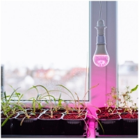 LED крушка за отглеждане на растения LED PLANTY GS E27 11W E27 1200K