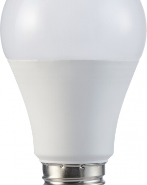 79001 SMD-LED, смарт крушка, бял