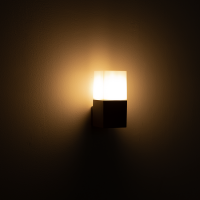 Фасадно осветително тяло, Е27, IP65, за стена, графит LED осветление