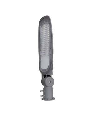 LED тяло за улично осветление ∅60, 40W, 4000K, 220V-240V AC, 150°х90°, SMD2835, IP66 LED осветление