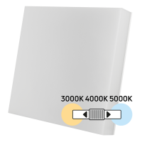 LED плафониера 18W/24W/30W, CCT 3000K/4000K/5000K, IK08, IP54 LED осветление