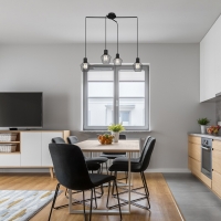 3540 Belano, пендел, E27 4x MAX 40W,черно 3540 Belano, пендел, E27 4x MAX 40W,черно LED осветление