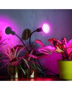 Настолна лампа PLANTY CLIP B DUO 1xE27 черна Kobi Design