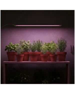 LED лампа за отглеждане на растения LED GROWLY 2x8,5W Kobi Design