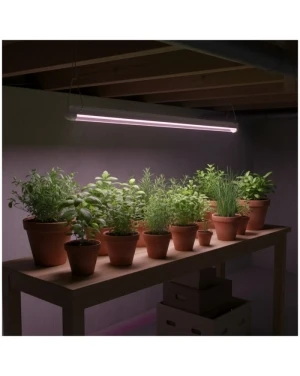 LED лампа за отглеждане на растения LED GROWLY 9W Kobi Design