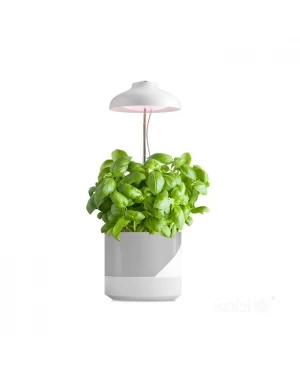 LED лампа за отглеждане на растения VERDI 5W 3200K 