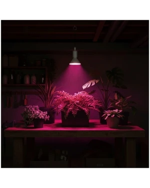 LED крушка за отглеждане на растения LED PLANTY W E27 9W E27 1200K Бяла